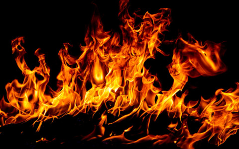 Agenti salvano un cane dall’incendio in un condominio di Mirandola
