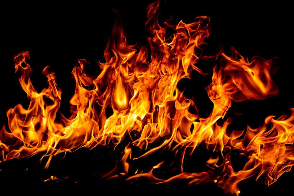 Agenti salvano un cane dall’incendio in un condominio di Mirandola